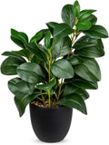 Briful Künstliche Zimmerpflanze Kamelie Kunstpflanze Camellia Japonica Im Kunststofftopf Dekorative Seidenblumen Kamelie Kunstblumen Für Home Hotel Dekoration (Grün)