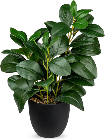 Briful Künstliche Zimmerpflanze Kamelie Kunstpflanze Camellia Japonica Im Kunststofftopf Dekorative Seidenblumen Kamelie Kunstblumen Für Home Hotel Dekoration (Grün)