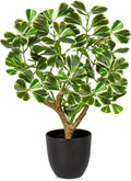 Briful 43CM Kunstpflanze Wie Echt Künstliche Ficus Pflanzen in Schwarzem Topf Dekopflanze Für Fensterbank Wohnzimmer Badezimmer Dekoration