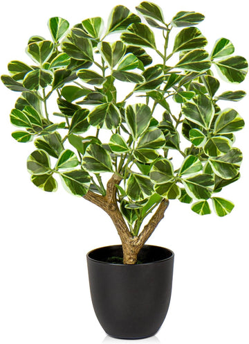 Briful 43CM Kunstpflanze Wie Echt Künstliche Ficus Pflanzen in Schwarzem Topf Dekopflanze Für Fensterbank Wohnzimmer Badezimmer Dekoration