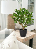 Briful 43CM Kunstpflanze Wie Echt Künstliche Ficus Pflanzen in Schwarzem Topf Dekopflanze Für Fensterbank Wohnzimmer Badezimmer Dekoration