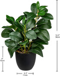Briful Künstliche Zimmerpflanze Kamelie Kunstpflanze Camellia Japonica Im Kunststofftopf Dekorative Seidenblumen Kamelie Kunstblumen Für Home Hotel Dekoration (Grün)
